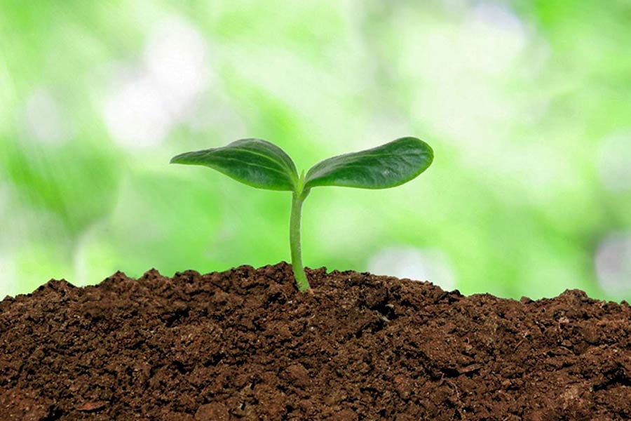برای بهترین نتیجه از ترکیب بردوفیکس با کنفیدور هرگز استفاده نکنید.