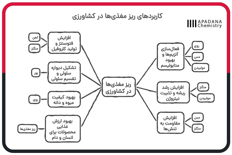 کاربردهای ریز مغذی ها در کشاورزی