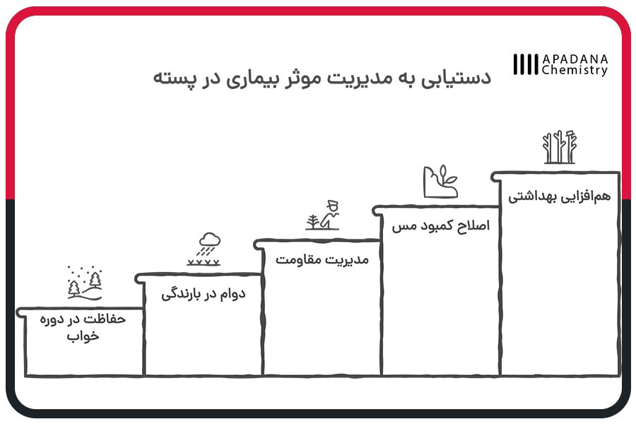 دستیابی به مدیریت موثر بیماری در پسته