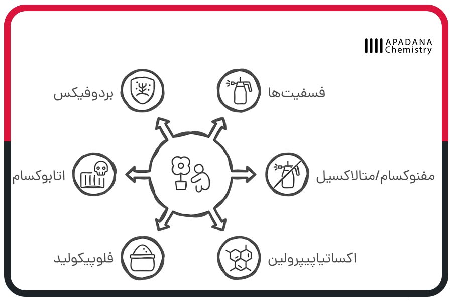 بهترین قارچ کش برای پوسیدگی ریشه درختان