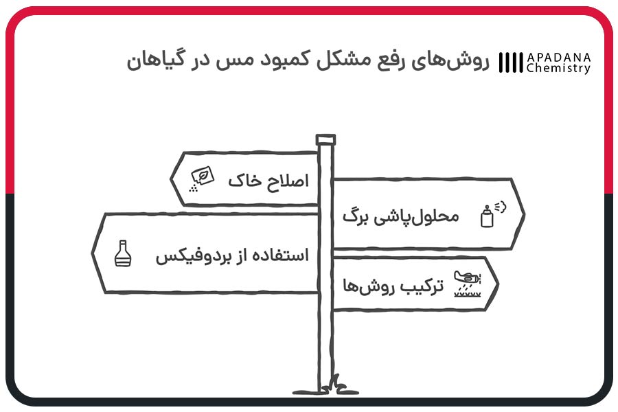 انواع روشهای رفع مشکل کمبود مس در گیاهان