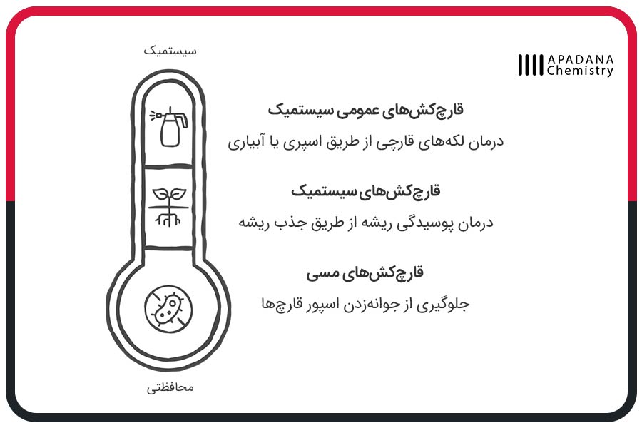 انواع قارچکشهای مناسب برای گیاه زاموفیلیا